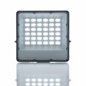 PROJECTEUR 100W GRIS