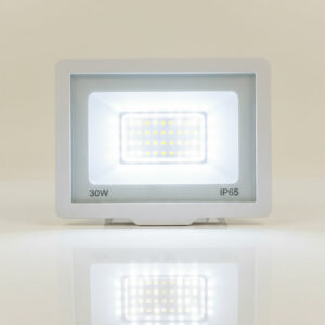 PROJECTEUR SMD 30W FM BLANC